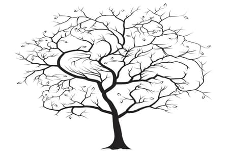 বুদ্ধিদীপ্ত চ্যালেঞ্জ