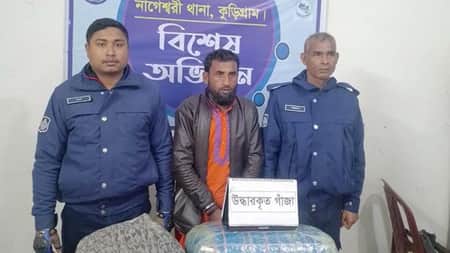 গাঁজা