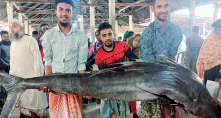 জেলের জালে ধরা পড়লো বিরল ‘গোলপাতা’ মাছ গোলপাতা ফিস