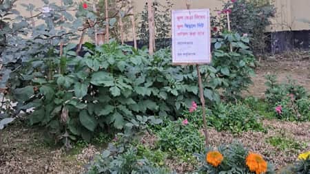 ফুল ছিঁড়লে সিট বাতিল