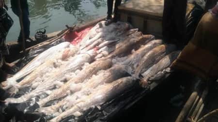 ভাগ্য খুলল জেলের