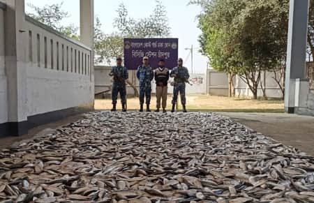 ৩৮০০ কেজি জাটকা জব্দ