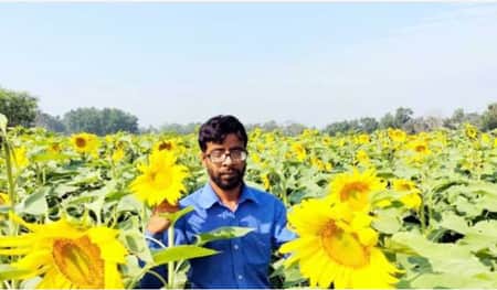 সূর্যমুখীর হাসিতে হাসছে জসীম