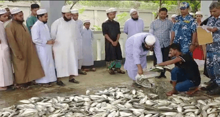 চাঁদপুরে ১০৬ মণ ইলিশসহ অন্যান্য মাছ জব্দ ইলিশ