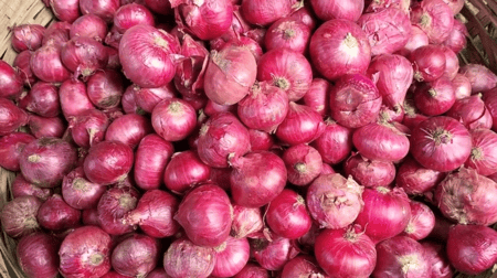 onion