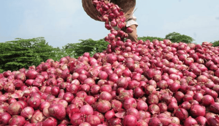 onion