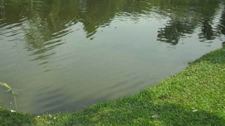 পুকুরে ডুবে প্রাণ গেল ভাই-বোনের পুকুরে ডুবে