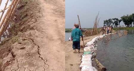 হাওরের বোরো ফসল