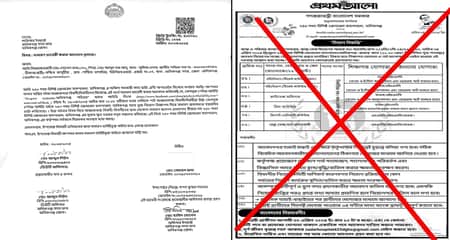 fake circular