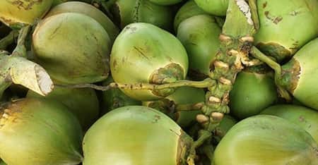এক পিস ডাবের দাম ১৮০ টাকা, শুনে হতবাক ক্রেতা!