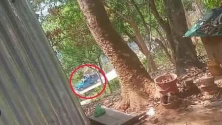 গাড়িতে এসে ব্যাংকে হা.ম.লা চালায় ৩০ জন অ.স্ত্রধারী bank