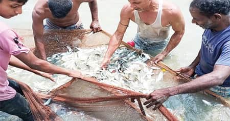 ilish-mach