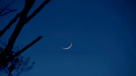 দেশের আকাশে চাঁদ দেখা গেছে, কাল ঈদ moon