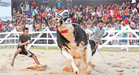 মঞ্চ মাতালো কোটি টাকার গরু, উৎসবে উদ্বেলিত দর্শক র্যাম্প শো