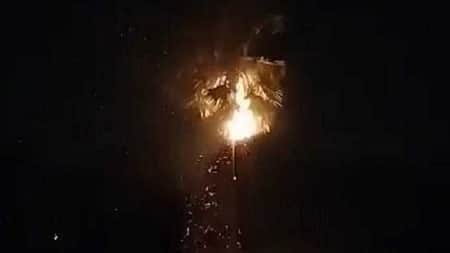 বজ্রপাতে তালগাছে ধরলো আগুন Fire in the palm tree