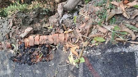 নির্মাণের এক মাসেই ফাঁটল ধরেছে দুই কোটি টাকার সড়কে! Road