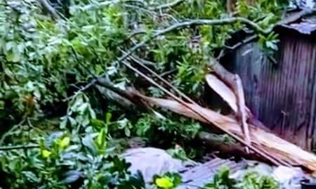 কালবৈশাখী ঝড়ে বাড়িঘরসহ ফসলের ব্যাপক ক্ষতি