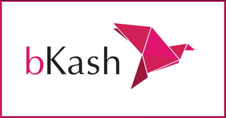 জনবল নিয়োগ দেবে বিকাশ, থাকছে না বয়সসীমা