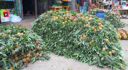 আড়তে আনারসের জমজমাট বেচাকেনা anarosh