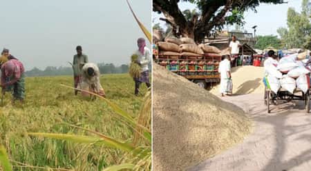 কাঙ্ক্ষিত দাম নেই ধানে, অসন্তুষ্ট কৃষক dhan