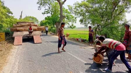 ২৫০ মিটার ড্রেন নির্মাণ করতে কাটা হলো দুই কিমি সড়কের গাছ tree-01