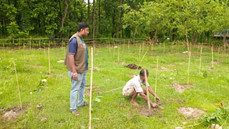 গাজীপুরে ২ কোটি টাকা মূল্যের উদ্ধার করা বনভূমিতে চারা গাছ রোপন