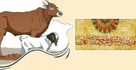 কোরবানির পশু জবাই করার দোয়া