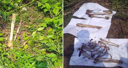 কলকাতার একটি খাল থেকে একাধিক হাড় উদ্ধার, এমপি আনারের কিনা নিশ্চিত নয় সিআইডি MP anar
