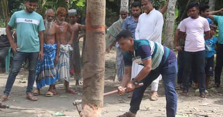 কেটে ফেলা হলো ‘কথা বলা’ সেই গাছ Tree