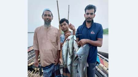 যমুনায় ধরা পড়ছে ঝাঁকে ঝাঁকে বোয়াল মাছ boyal fish