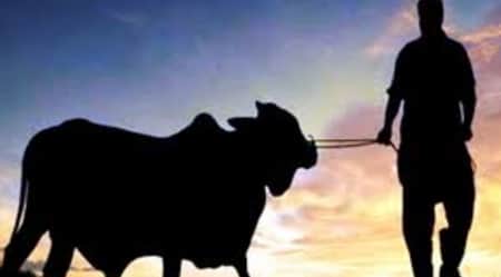 মহানবী সা. যেভাবে পশু কোরবানি করতেন caw