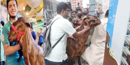 সাদিক এগ্রো ফার্ম