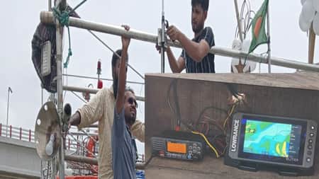 hilsa