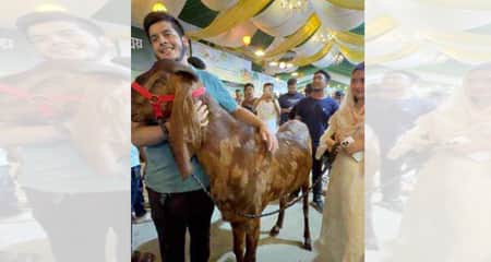১৫ লাখ টাকায় বিক্রি হলো খাসি khasi