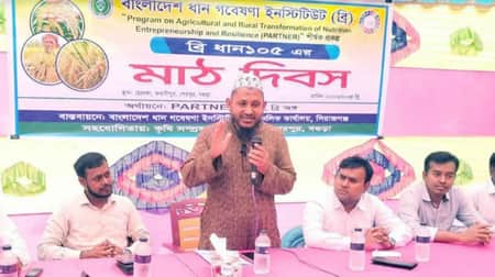ব্রি ধান-১০৫