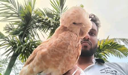 শখের বসে শুরু করে শুভ, এখন বছরে তাঁর আয় ৫ লাখ টাকা