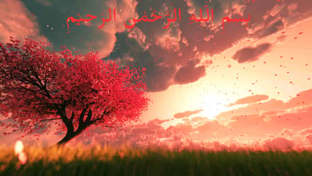 Bismillah