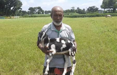 Nurul Islam