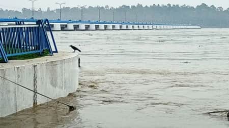 তিস্তার পানি