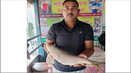 এক ইলিশ বিক্রি হলো ৬ হাজার টাকায় hilsha