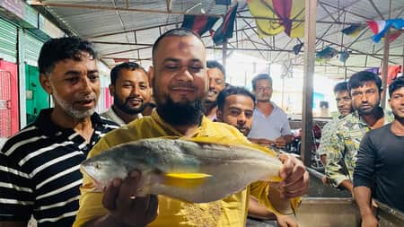 poya-fish