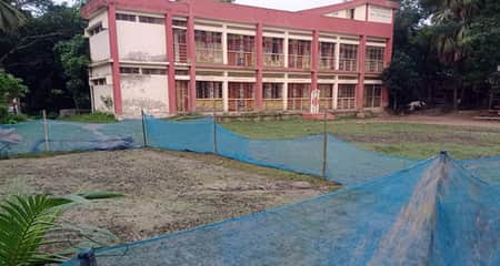 বিদ্যালয়ের মাঠে ধান চাষ করলেন শিক্ষিকা school