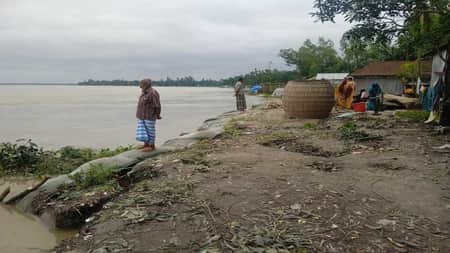 তিস্তার ভাঙনের কবলে শতাধিক পরিবার তিস্তার ভাঙন