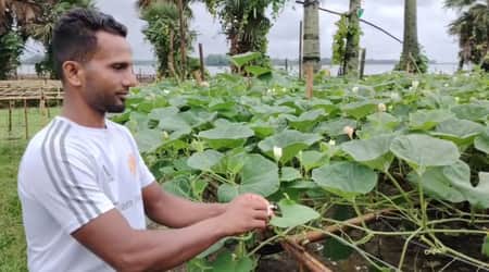 কালীগঞ্জে সোহাগের গ্রীষ্মকালীন লাউ চাষ, নজর কাড়ছে মানুষের