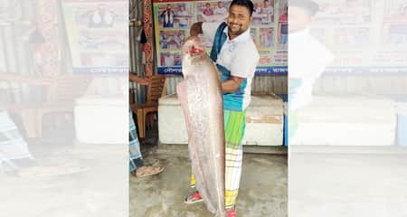 জেলের বড়শিতে ধরা পড়ল বিশাল বড় এক বোয়াল Boyal