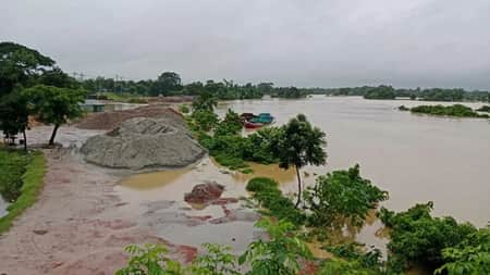 Pani