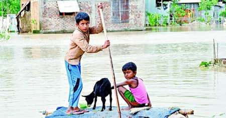লক্ষ্মীপুরে বন্যায় ২ লাখ গবাদিপশু মারা গেছে Posu
