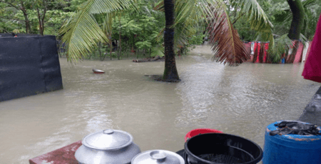 ভয়াবহ বন্যায় ভাসছে নোয়াখালী, পানিবন্দি ২০ লাখ মানুষ