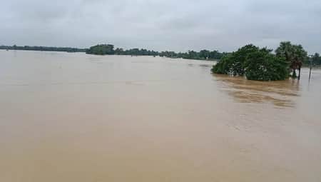 গোমতীর পানি
