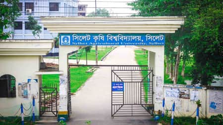sau-gate
